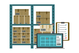 courier from USA to India